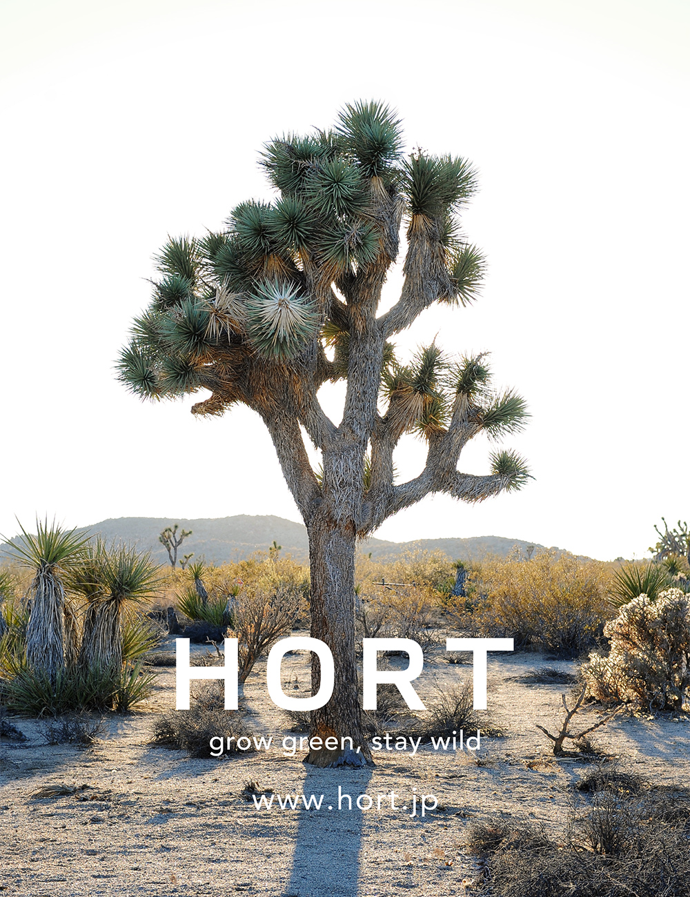 HORT